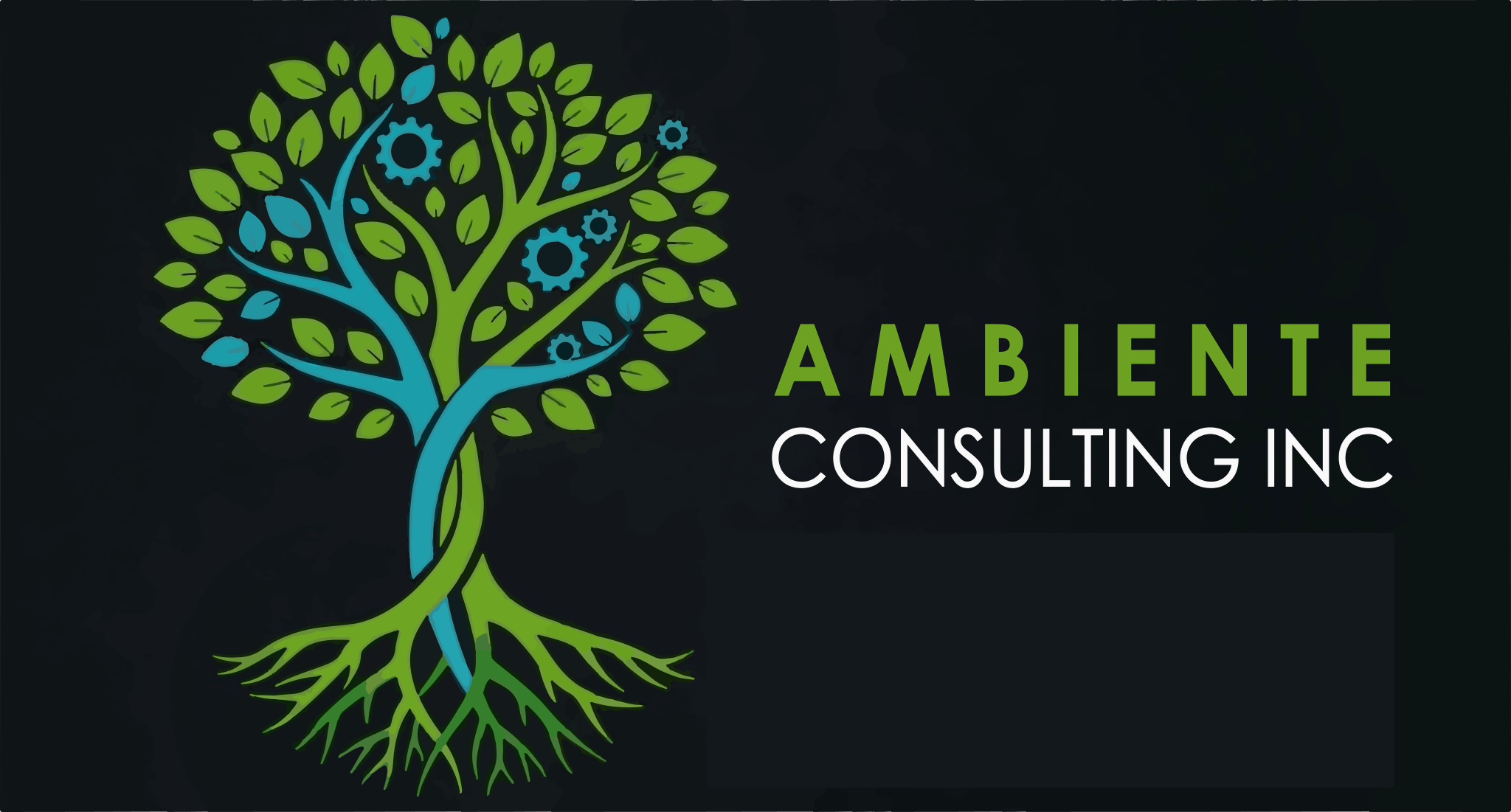 Ambiente Consulting Inc.